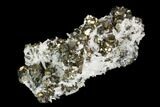 Pyrite and Quartz Crystal Association - Peru #126579-1